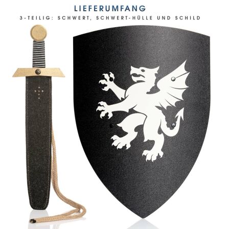 Ritterset Drache mit Holz Schild und Schwert